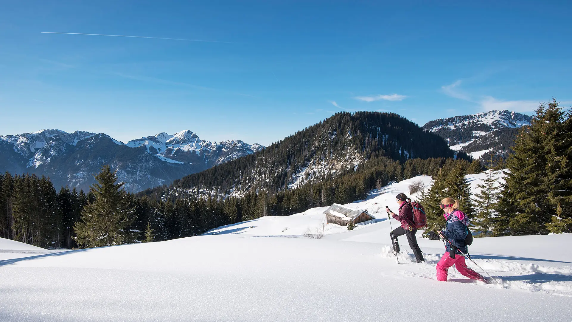 Vue sur le Mont-Billat