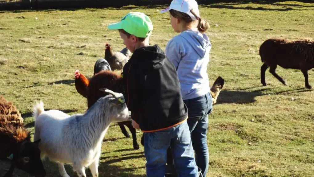 Mini-ferme de la Miellerie La Grange aux Abeilles - Estivareilles 42380