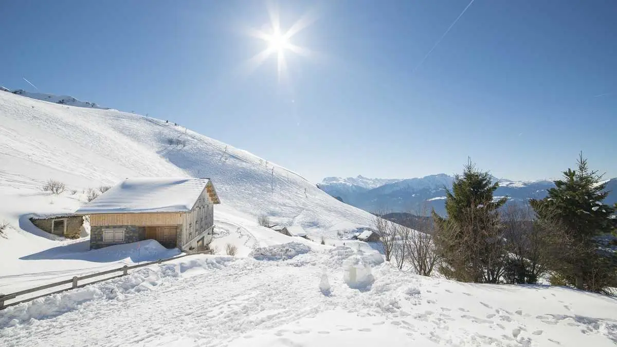 Chalet au pied des pistes