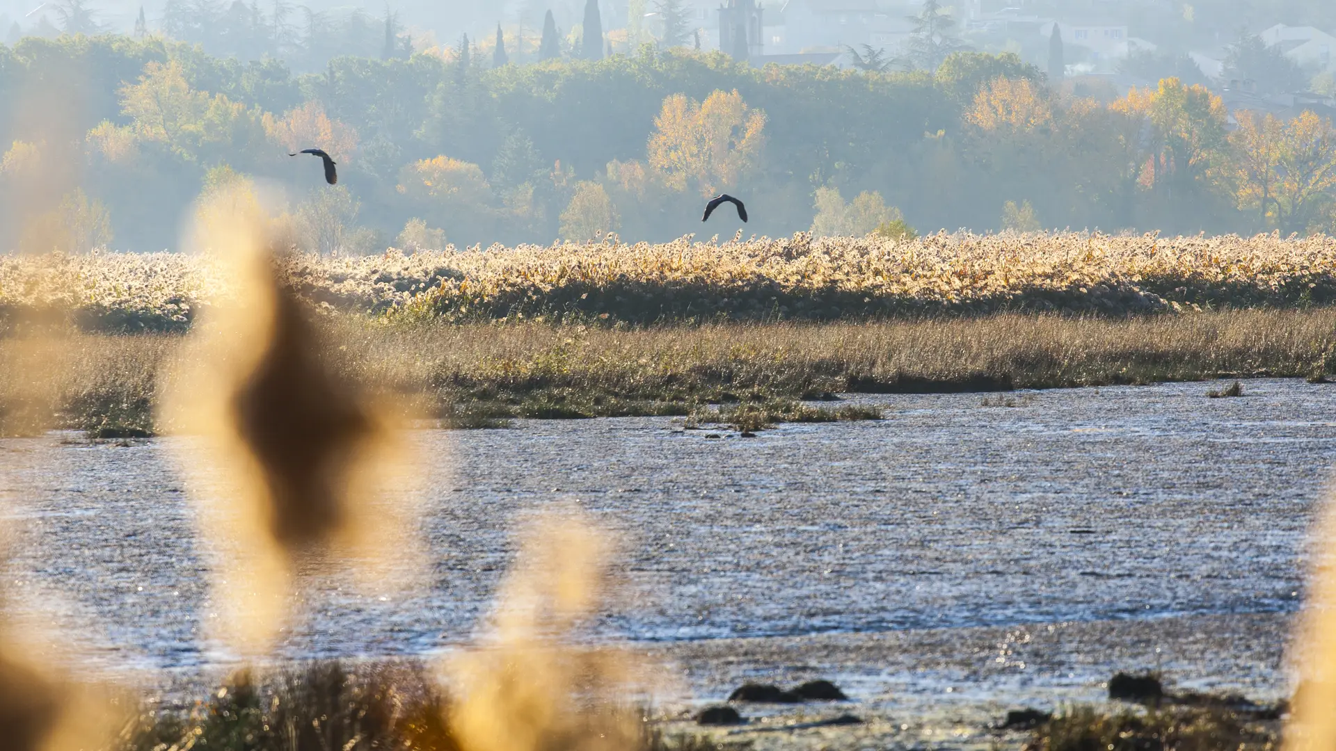 Réserve Ornithologique de Haute-Provence