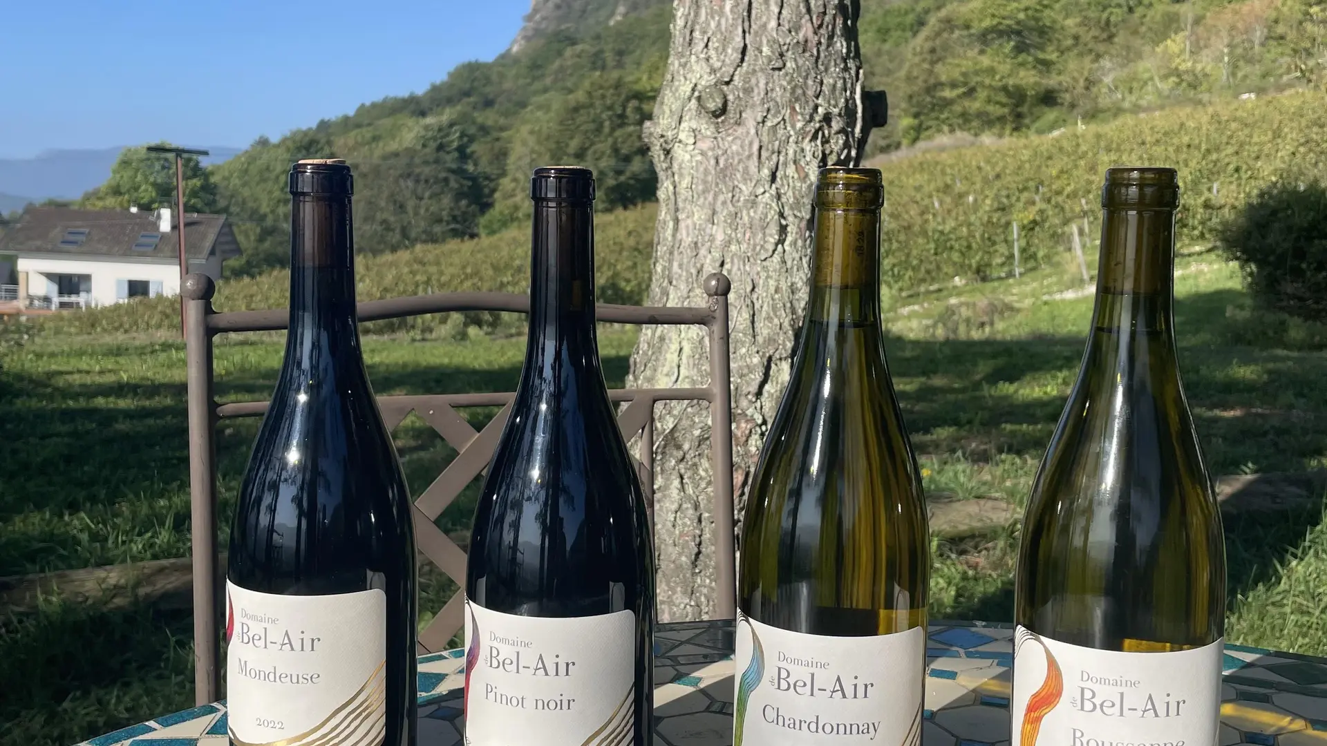 Vins de la production
