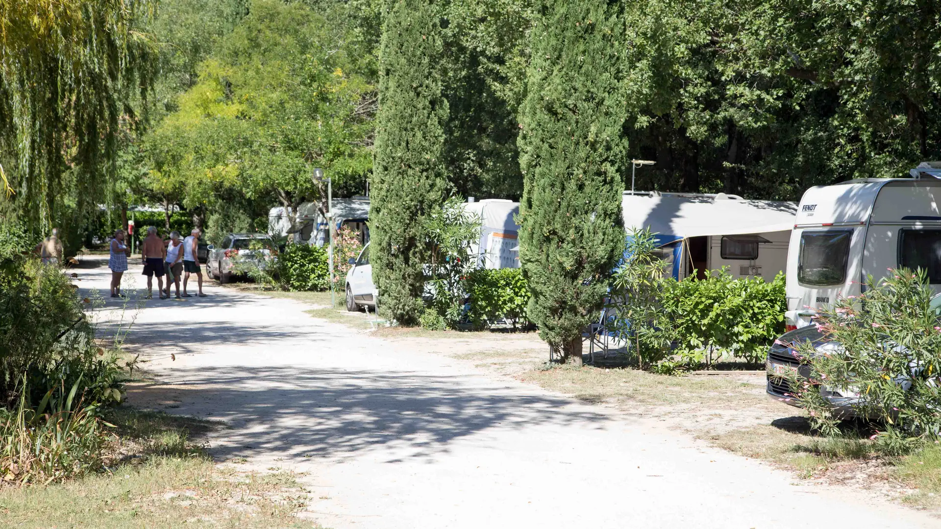 Allée centrale - Camping de l'Hérein