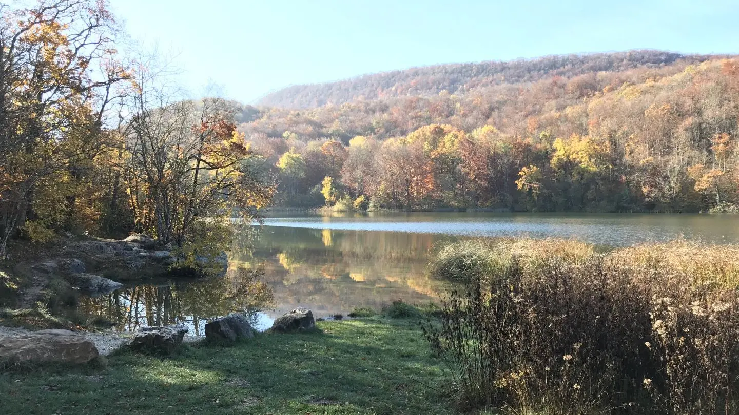 Plan d'eau à proximité