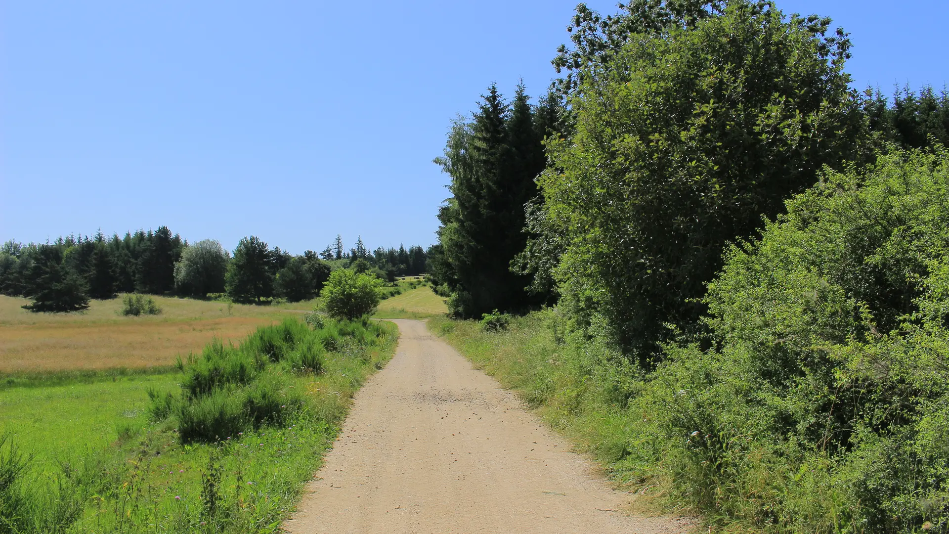Chemin entre Leignecq et St-Hilaire-Cusson-la-Valmitte