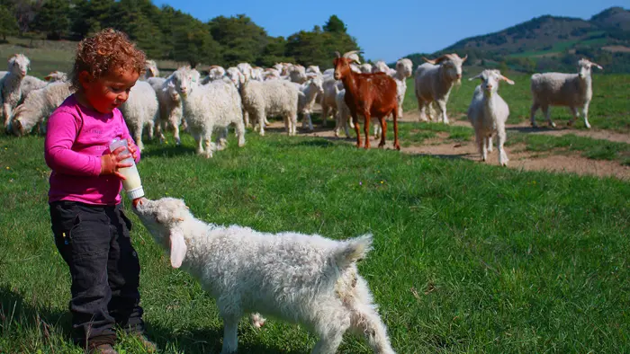 La Ferme du Col JARJAYES