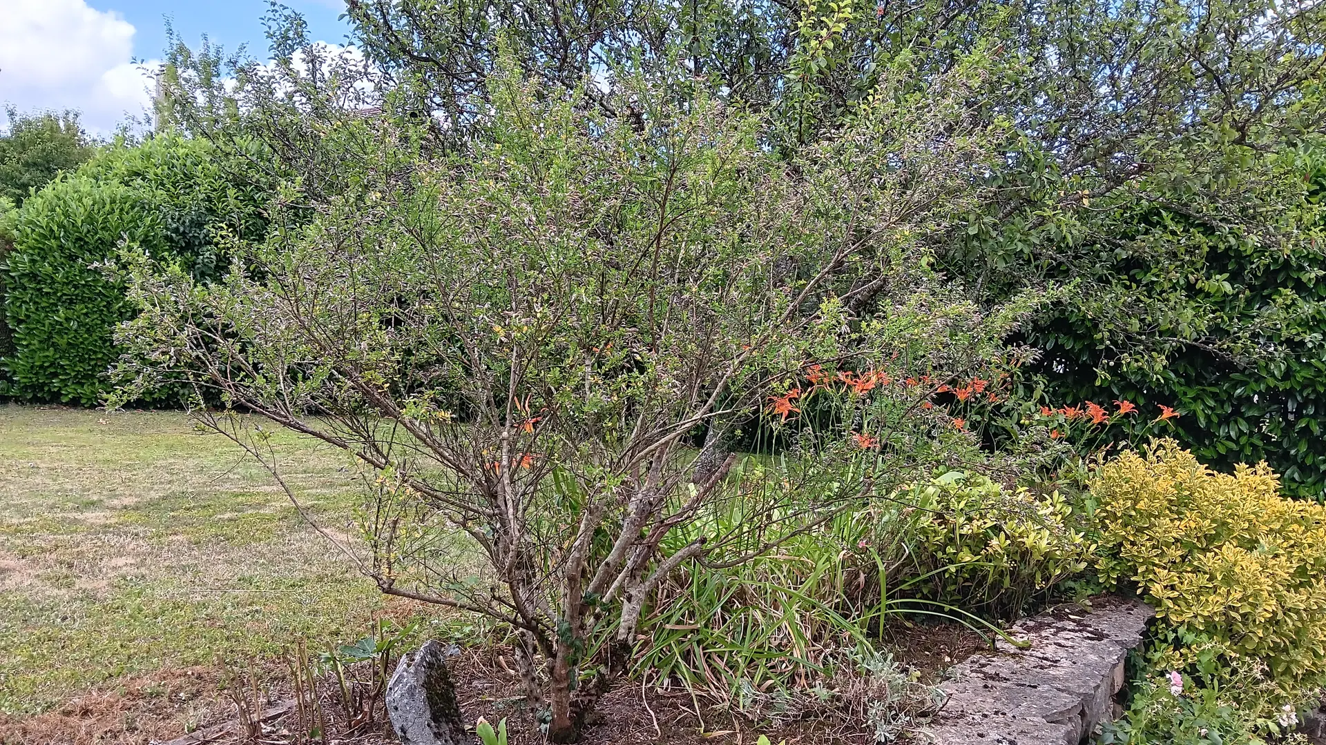 Autre vue des extérieurs