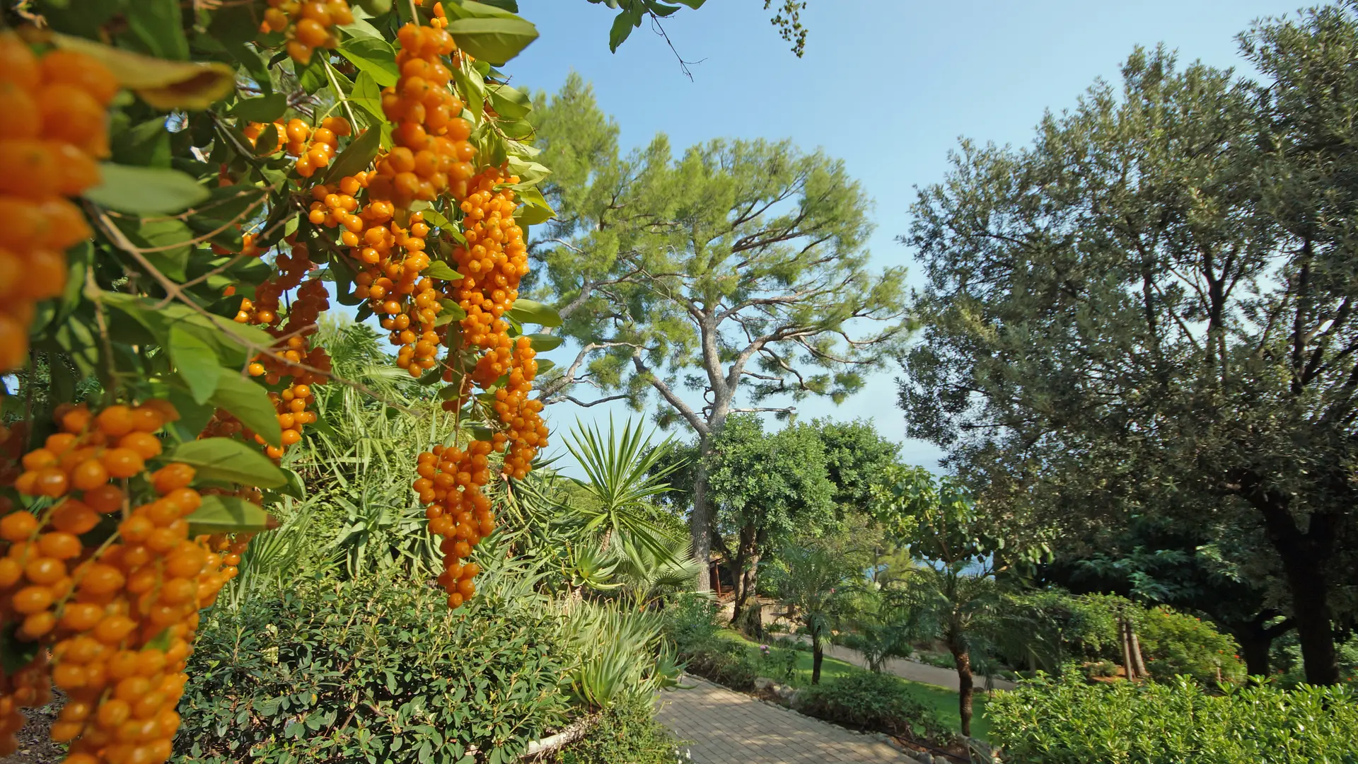 Parc de Sacha Guitry