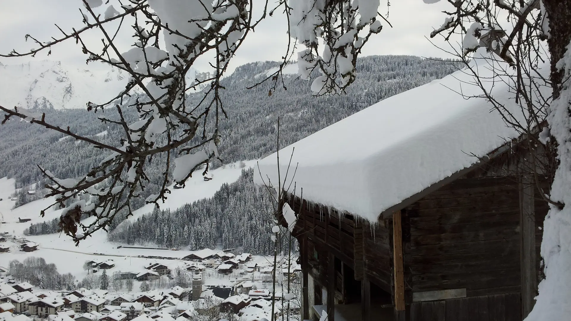 Sentiers raquettes au Grand-Bornand 27 : La Communaille Le Replain