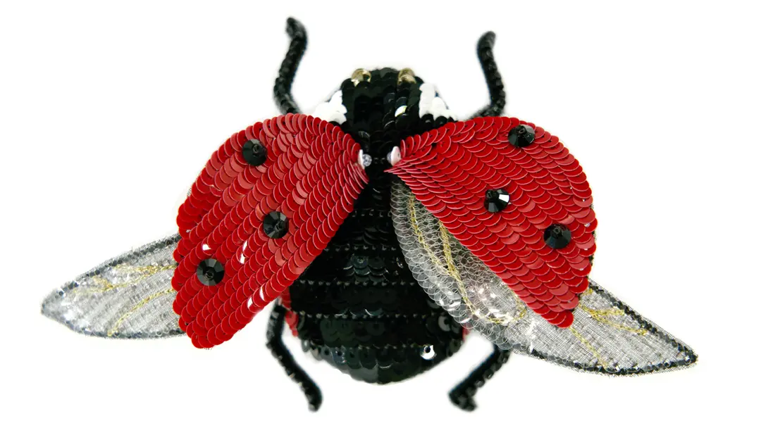 Coccinelle