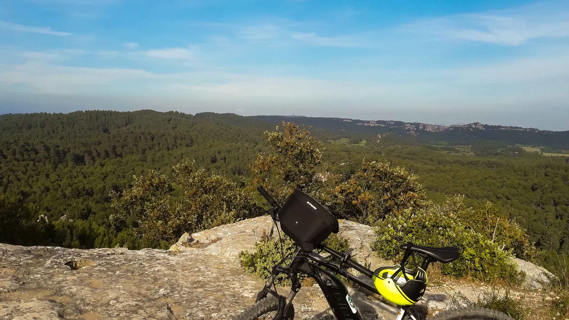 Panorama sur la pinède depuis les hauteurs du Vallon de la Lèque