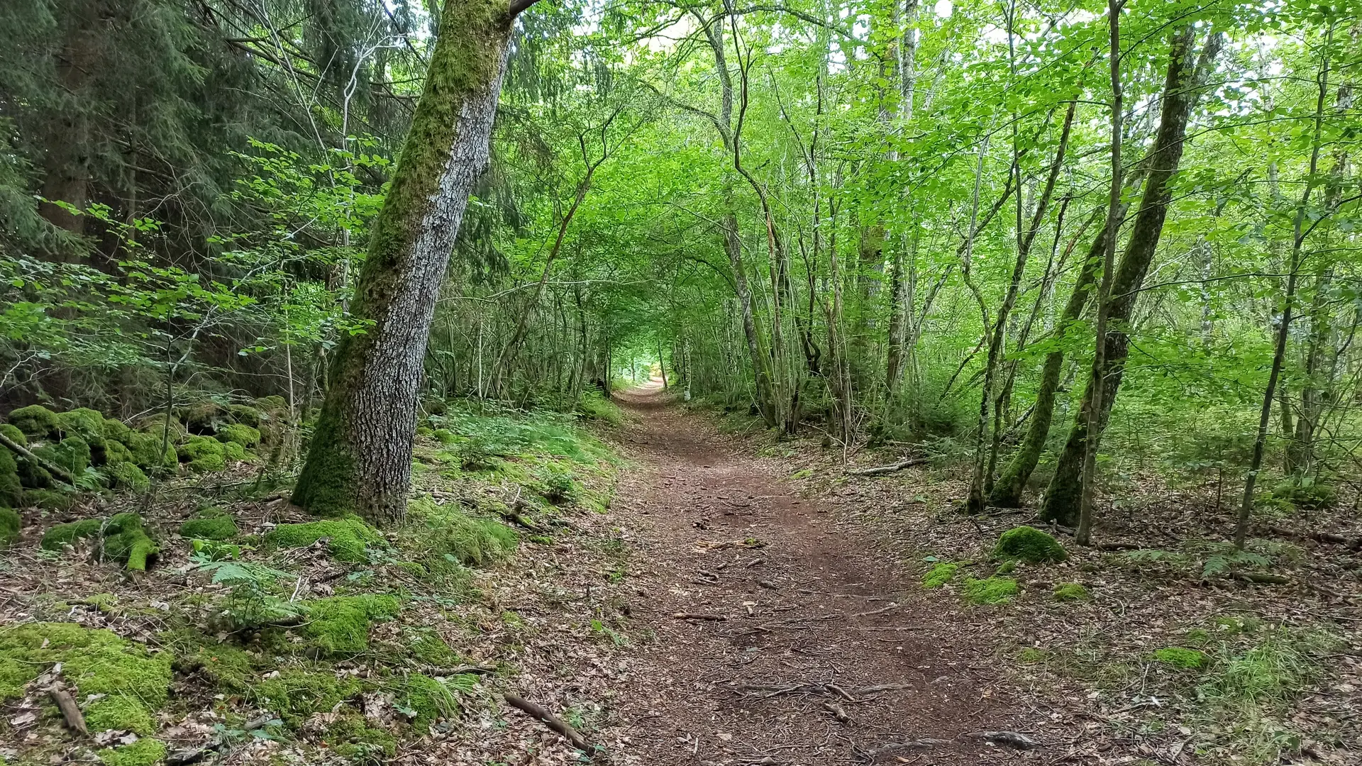 Randonnée VTT Le Puy de la Nugère
