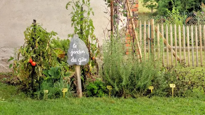 Le jardin du gite avec plantes aromatiques, médicinales et légumes selon la saison et la météo.
