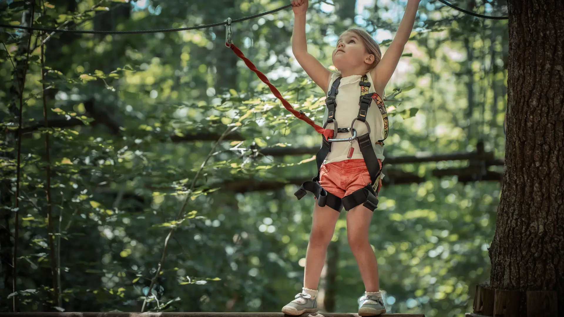 Accrobranche - Rénac Aventure