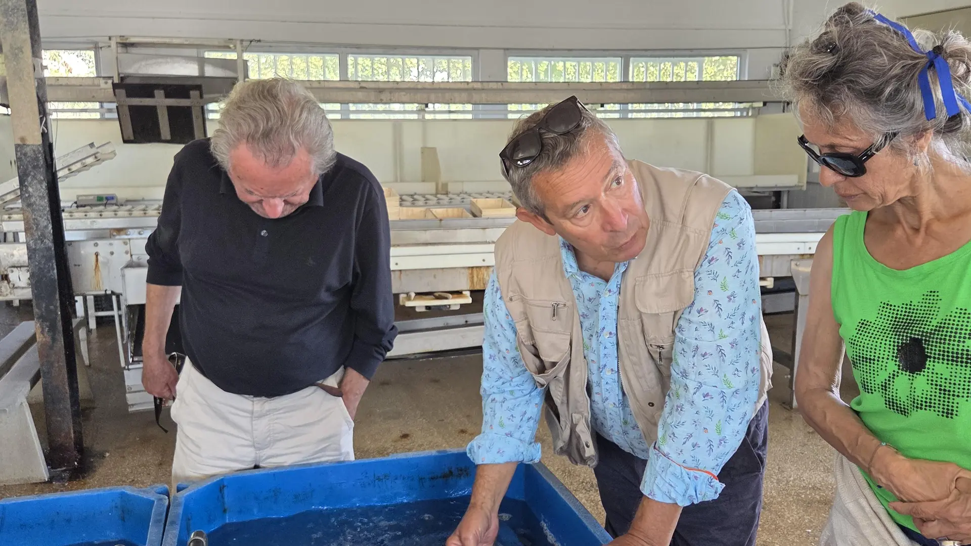 Visita guiada a medida: arte, cultura, patrimonio y tradición (transporte incluido)_Saint-Martin-de-Ré