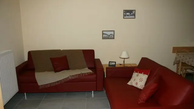 Vue sur le salon avec deux canapés
