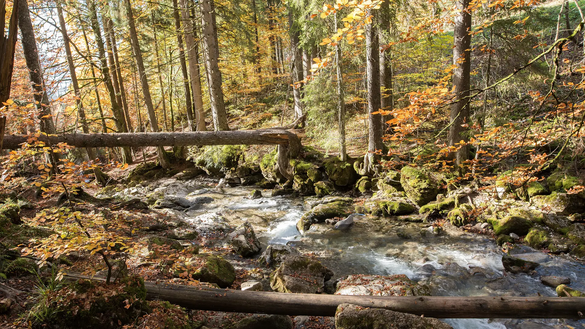 La jolie rivière juste au dessus de la Cascade d'Ardent