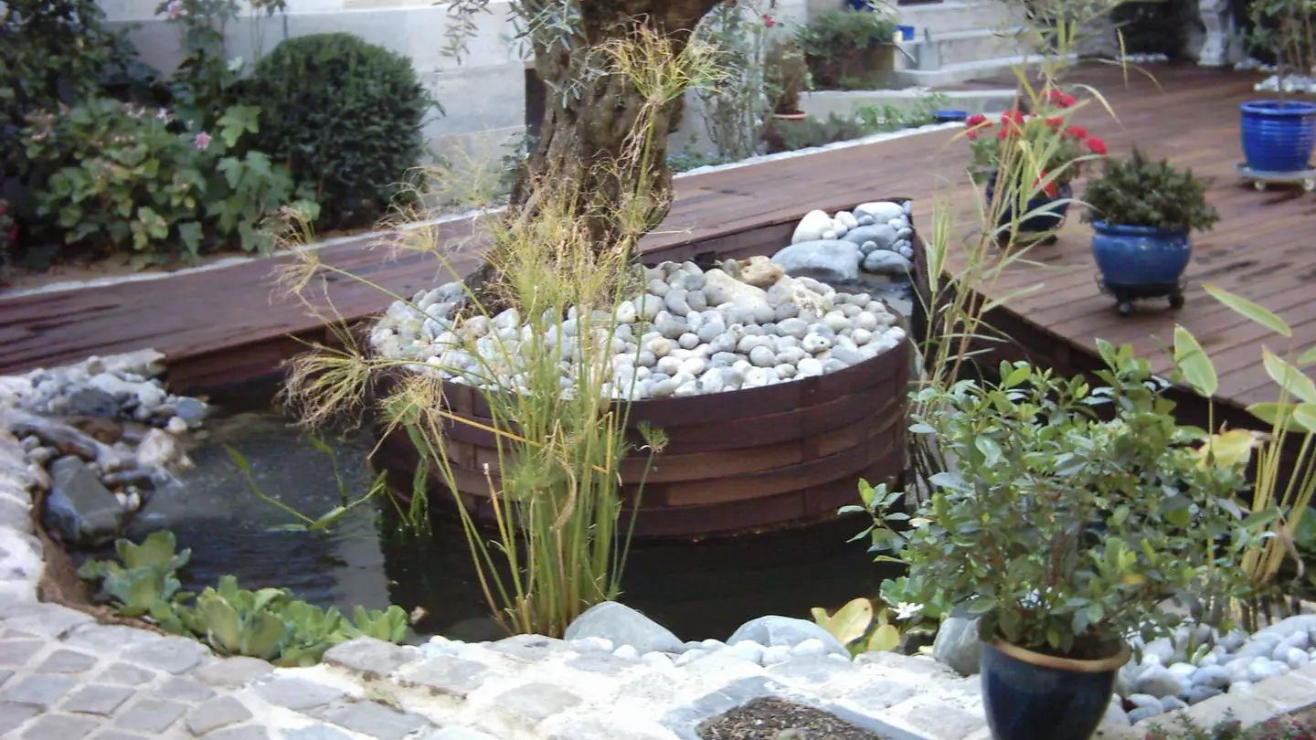 Présentation minérale et végétale