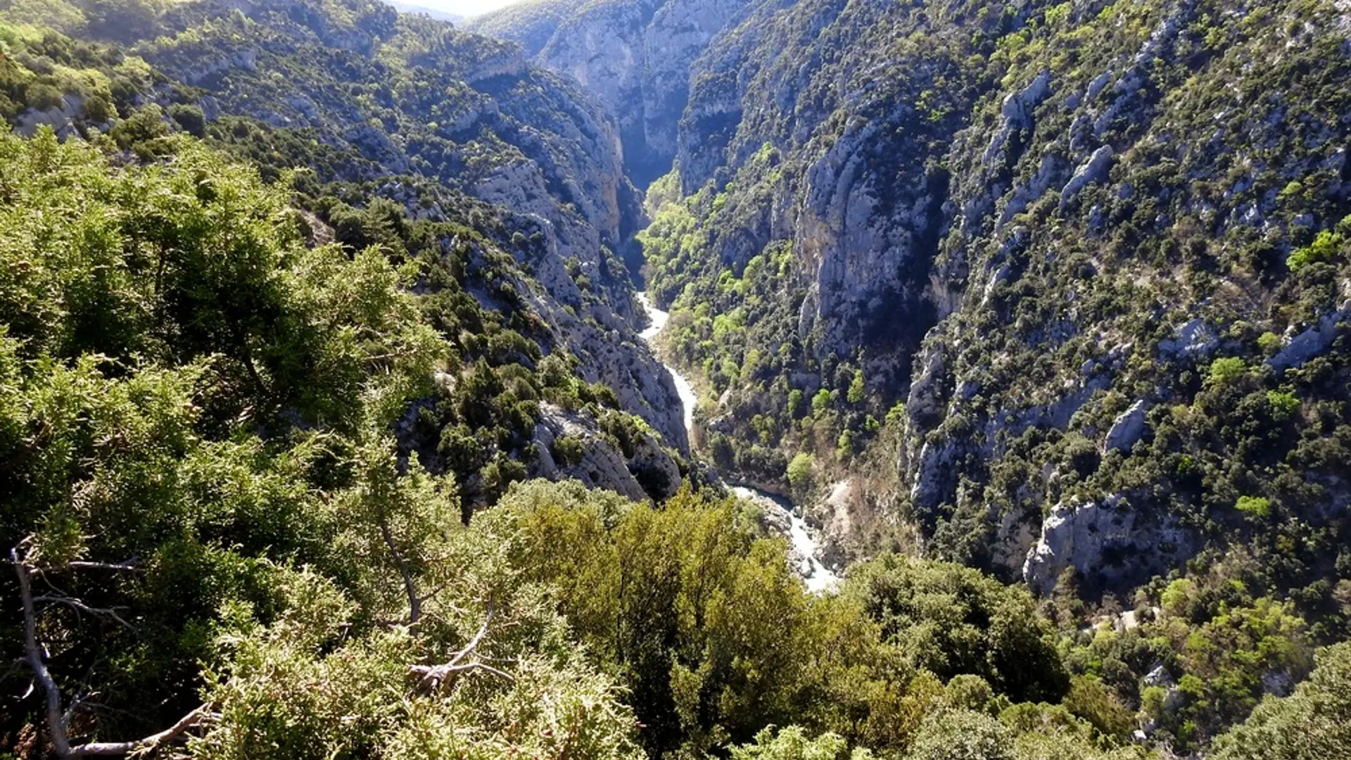 Vue dans les gorges