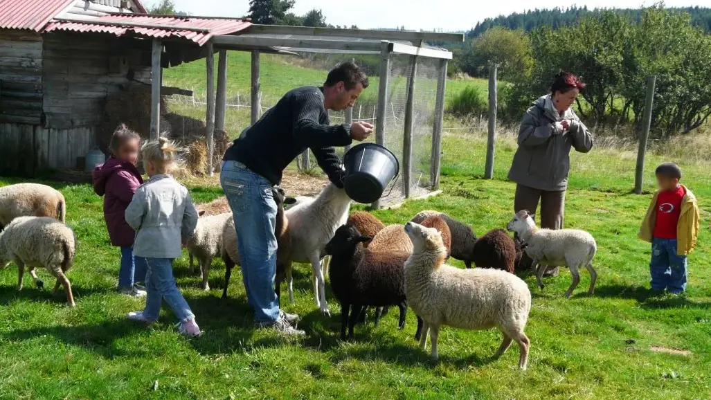 Mini-ferme de la Miellerie La Grange aux Abeilles - Estivareilles 42380