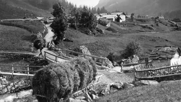 Les-Gatroz-Tardy 6