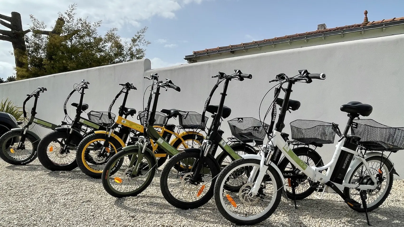 The bicycles of 36