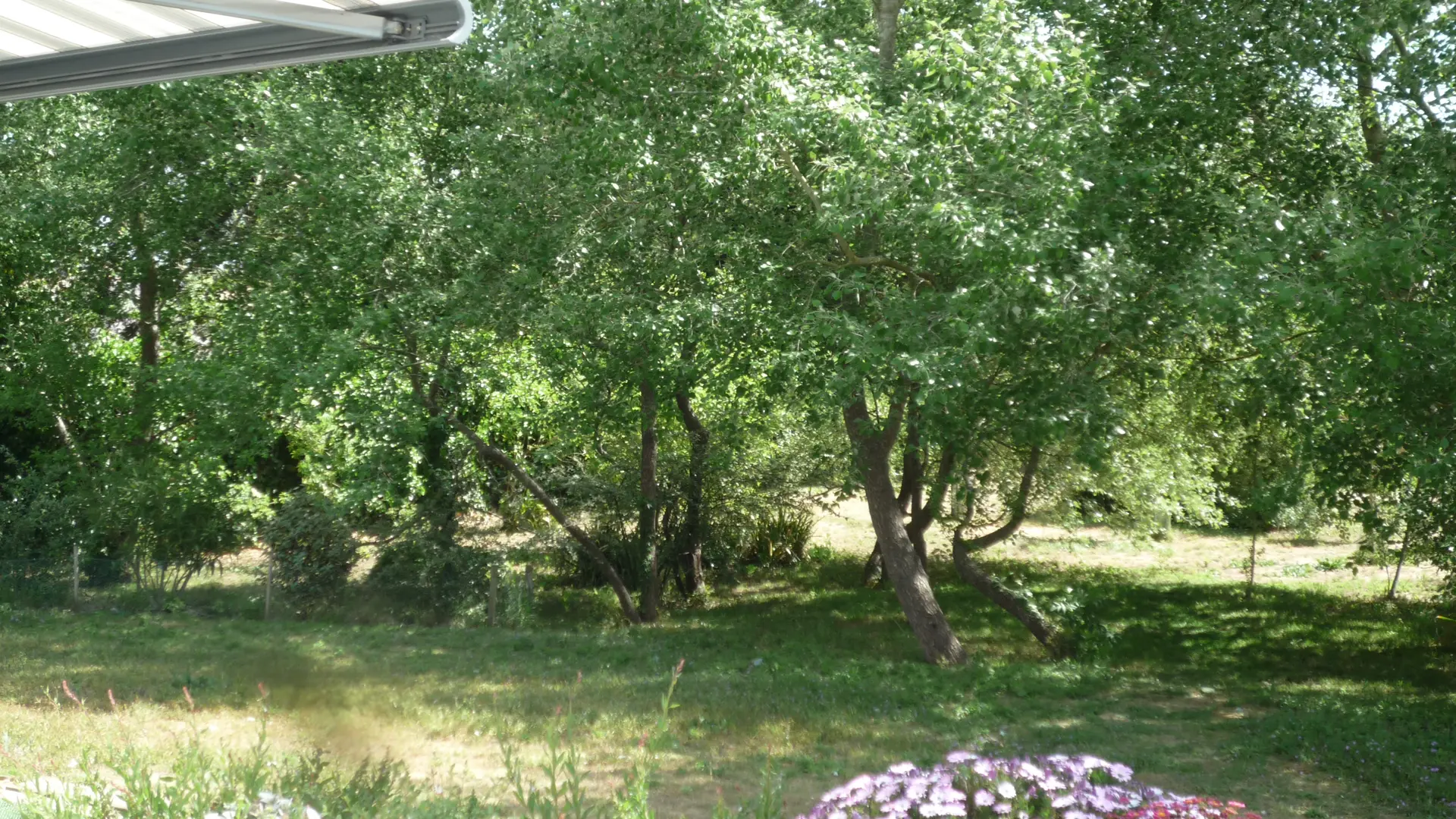 The garden in front of the terrace