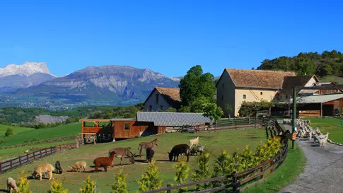La Ferme du Col JARJAYES