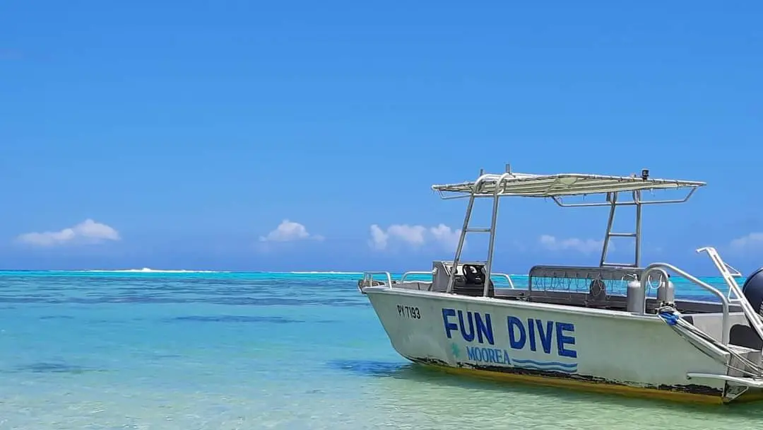 Moorea Fun Dive