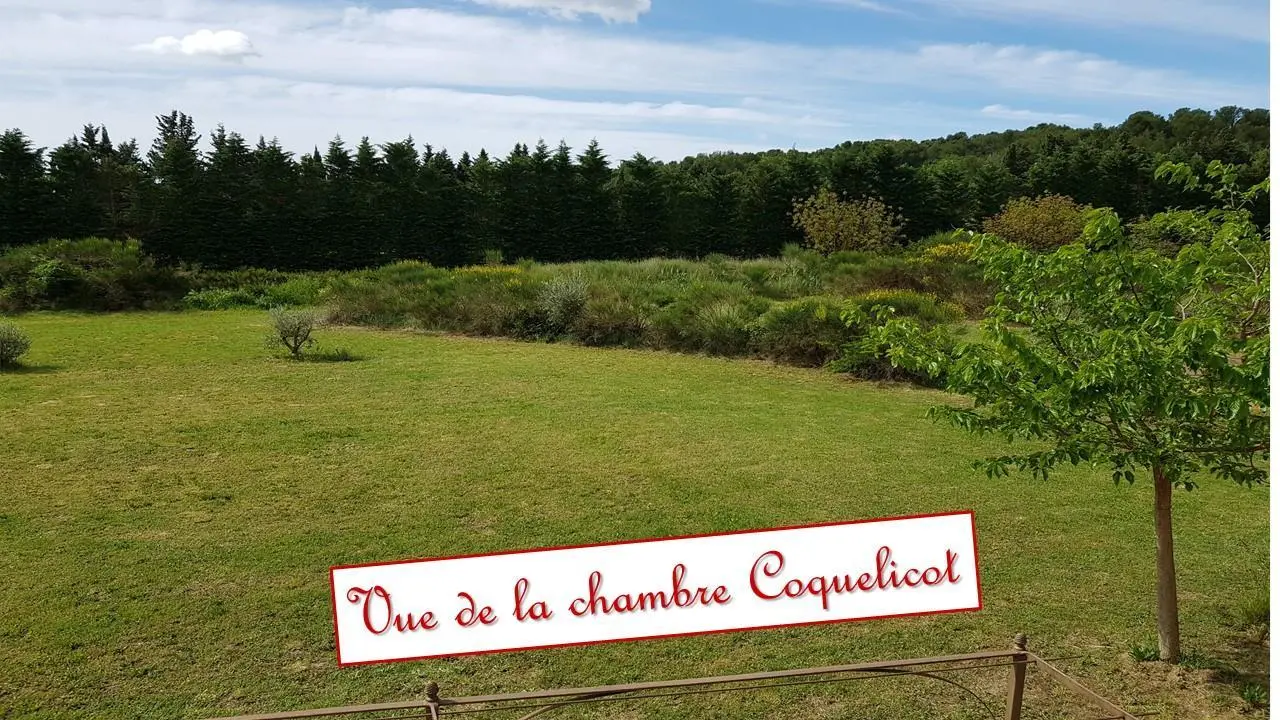 vue chambre coquelicot