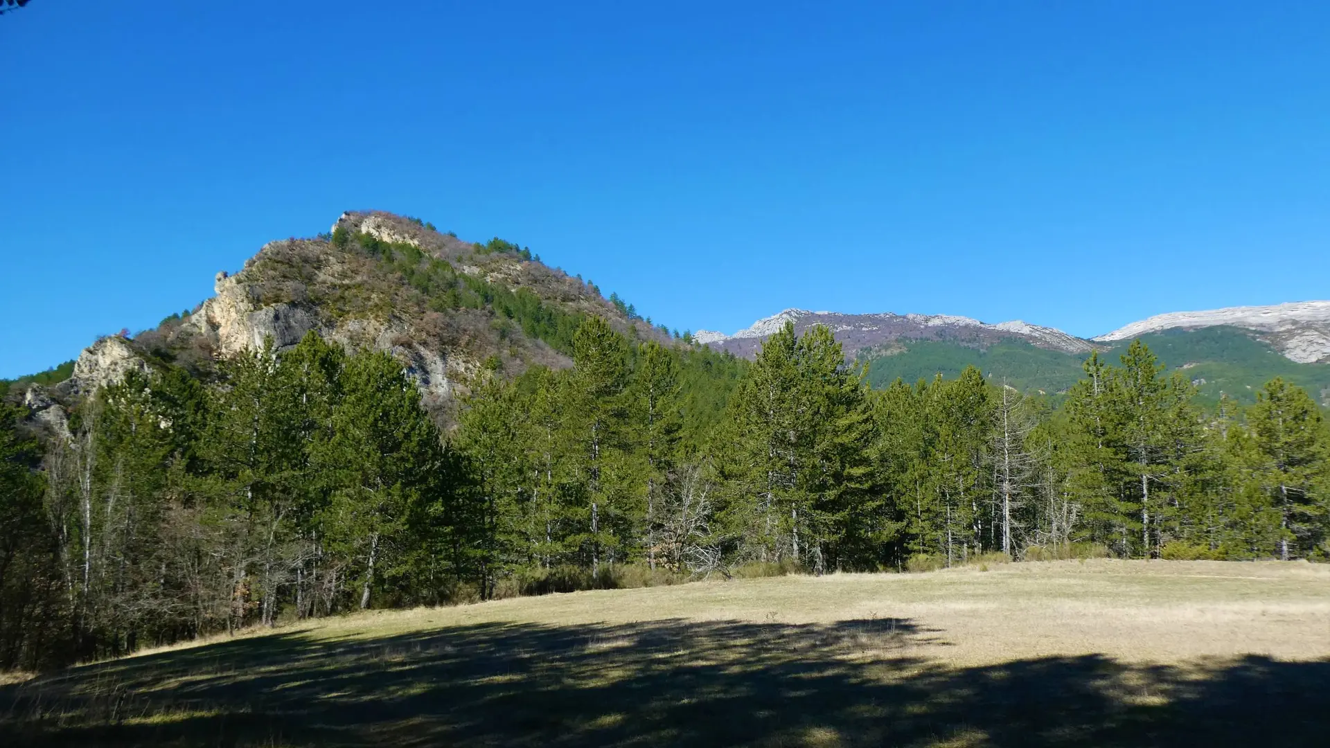 Belle étendue verdoyante