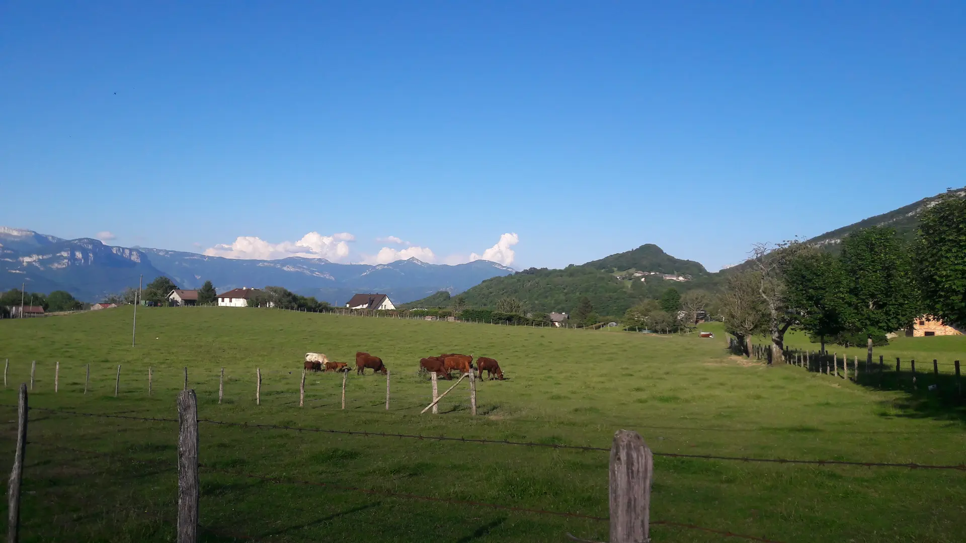 vue sur les Bauges