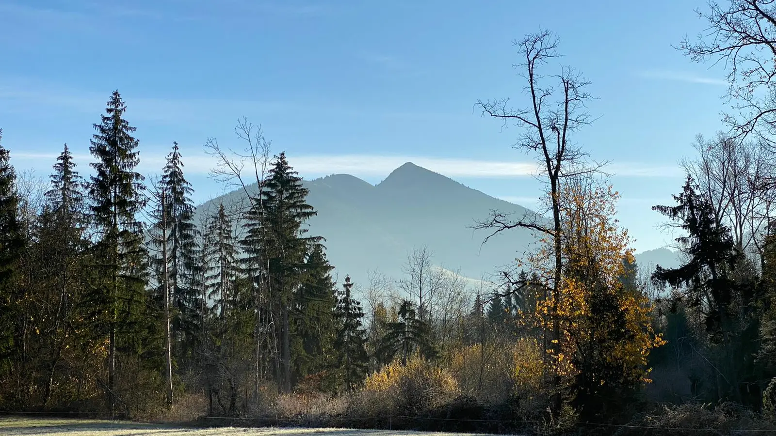 Vue du Môle depuis les sentier du Blacon des grands prés