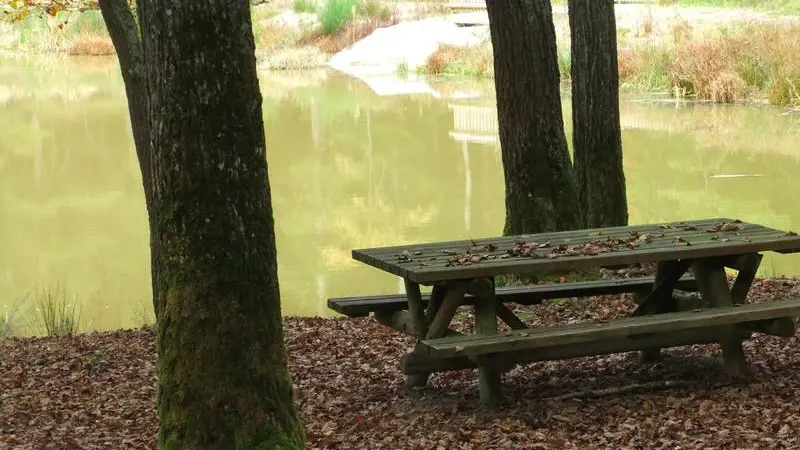 Aire de pique-nique des étang de la Forêt de Lespinasse