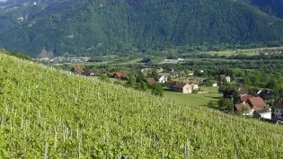 La chaîne du Bargy et côteau viticole d'Ayze