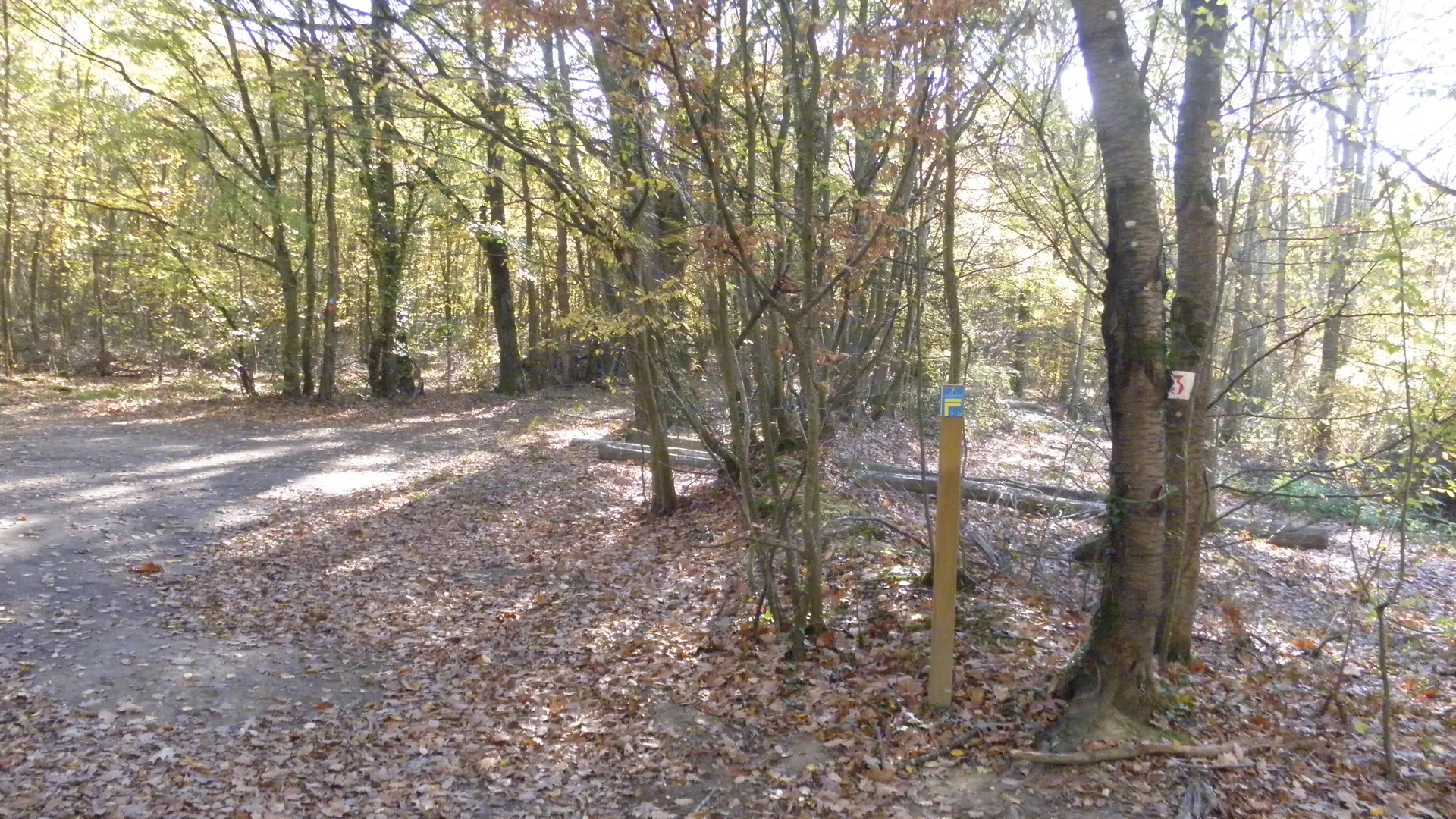 Point 3 : prendre le chemin qui descend à droite a
