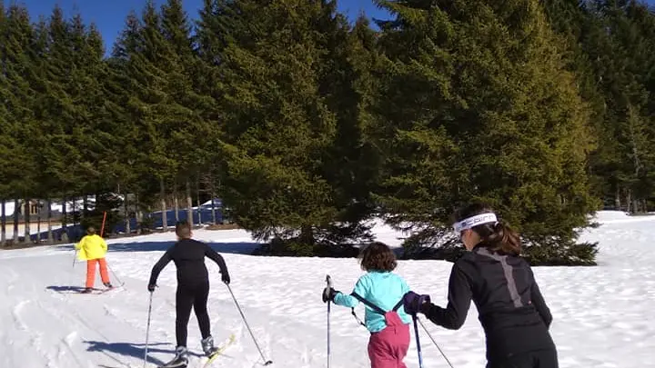 enfants qui font du ski de fond en colo