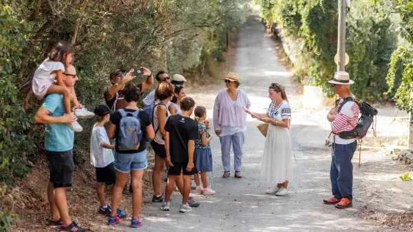 La Treille, village raconté de Provence