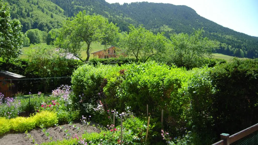 Vue du gîte coté jardin