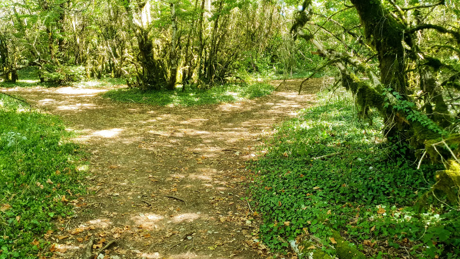 Circuit VTT n°17 (rouge) Roches de Cuiron - Mont July