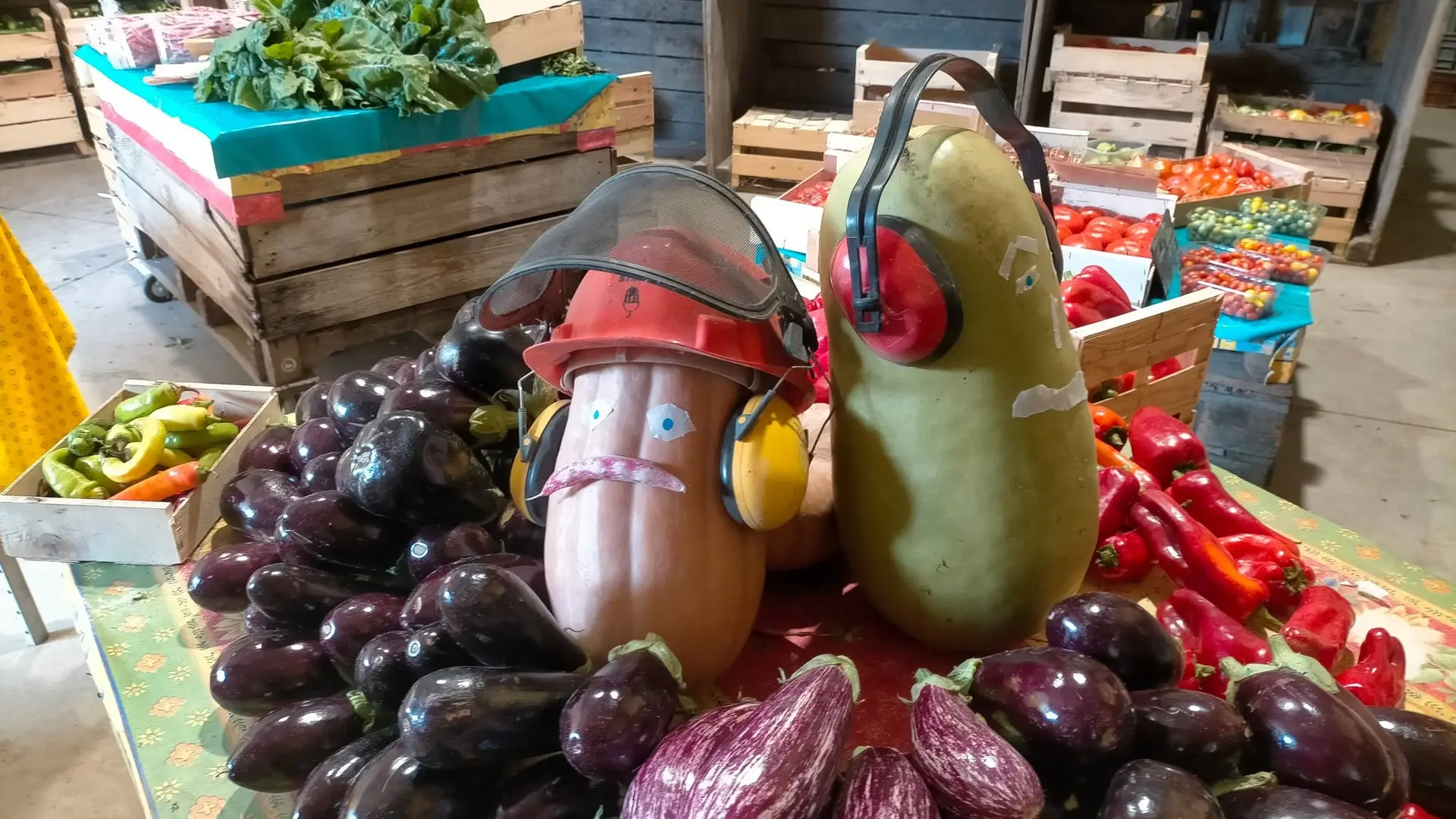 Présentation d'aubergines en tas et tomates