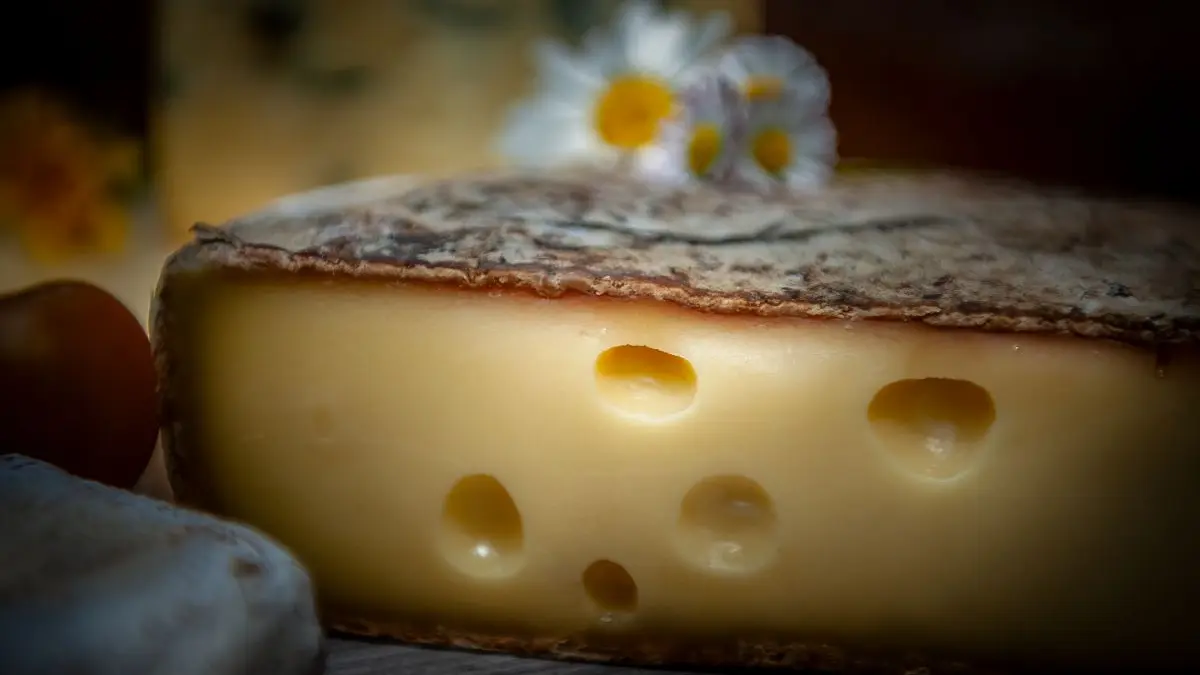 Tomme des Bauges