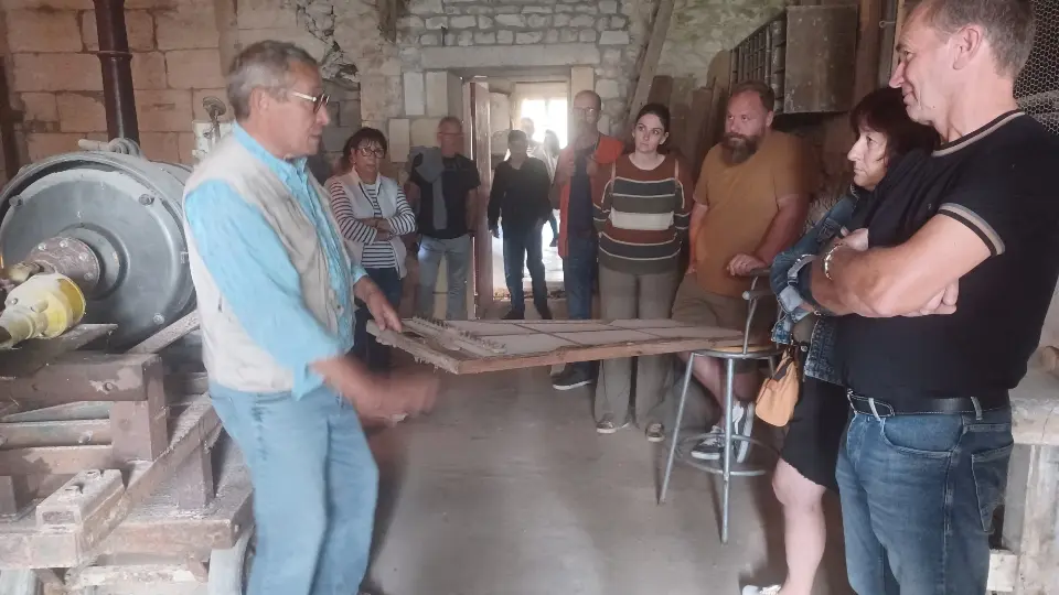 Visita guiada a medida: arte, cultura, patrimonio y tradición (transporte incluido)_Saint-Martin-de-Ré