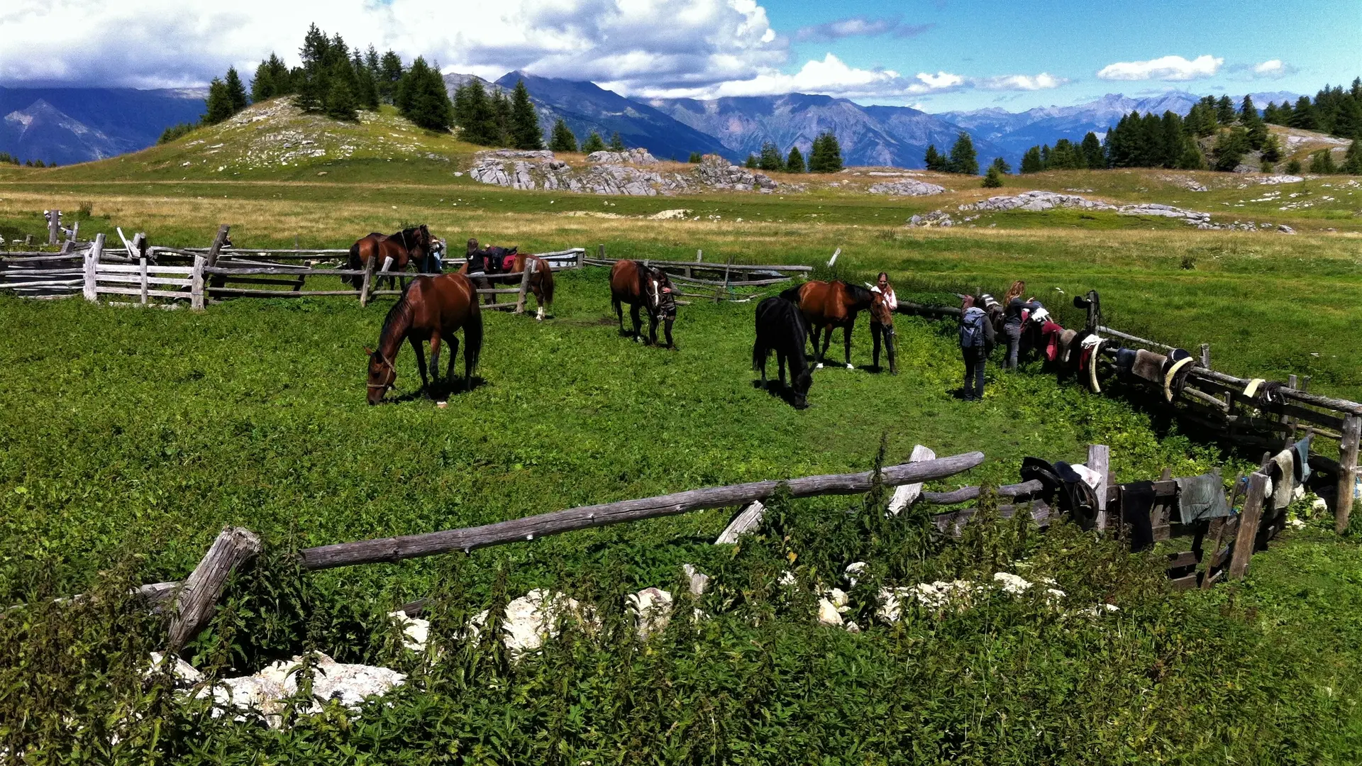 Aalpes Rando Equitation CROTS