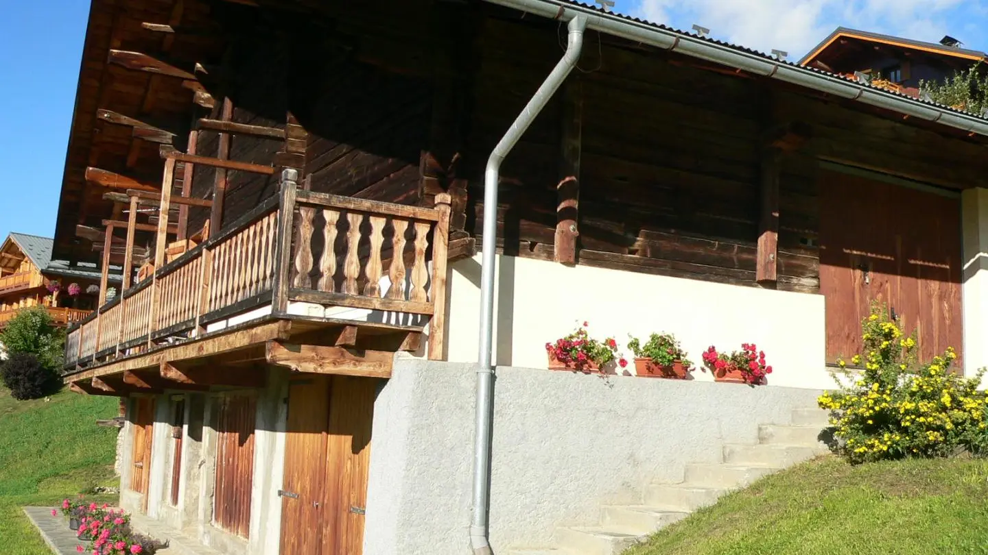 Chalet et son  espace