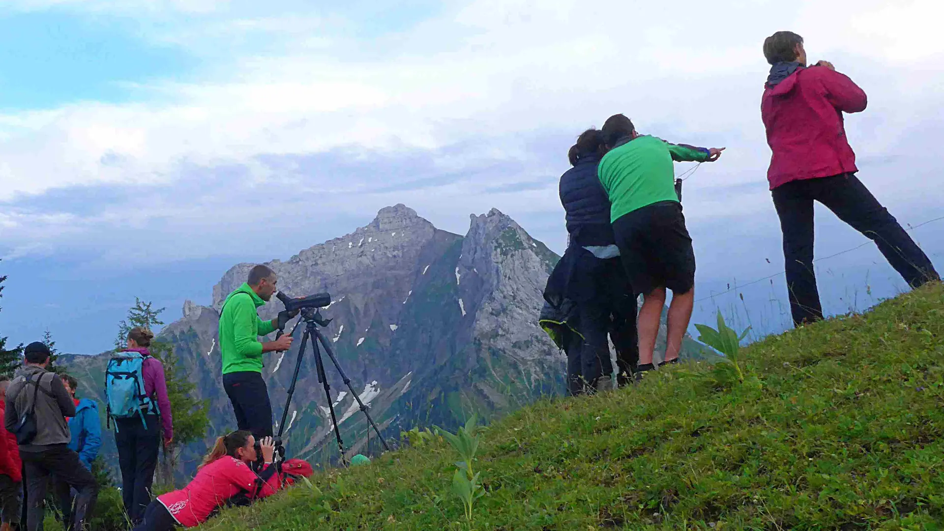 observer des animaux en montagne