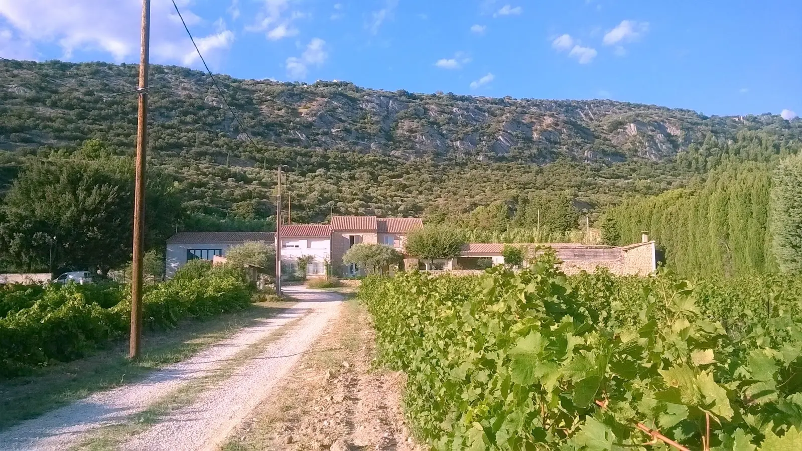 Vue sur les Dentelles de Montmirail