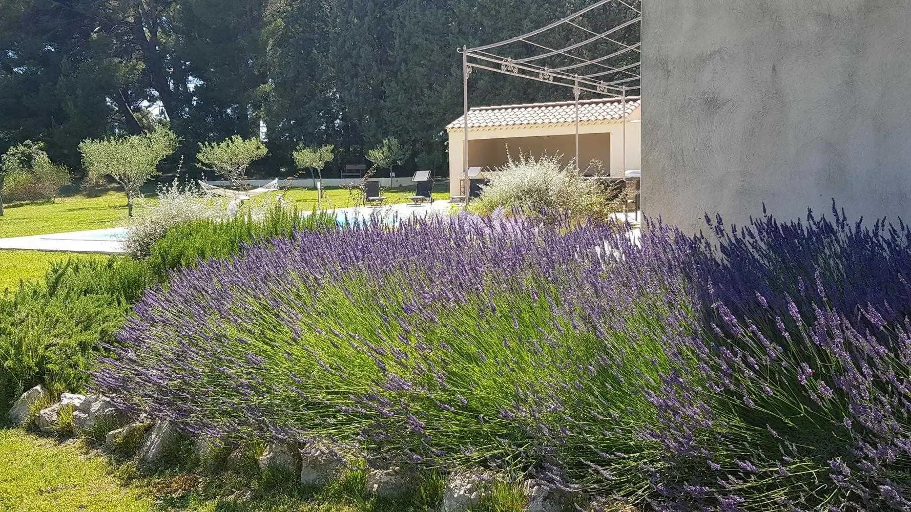 Les lavandes de LUSON