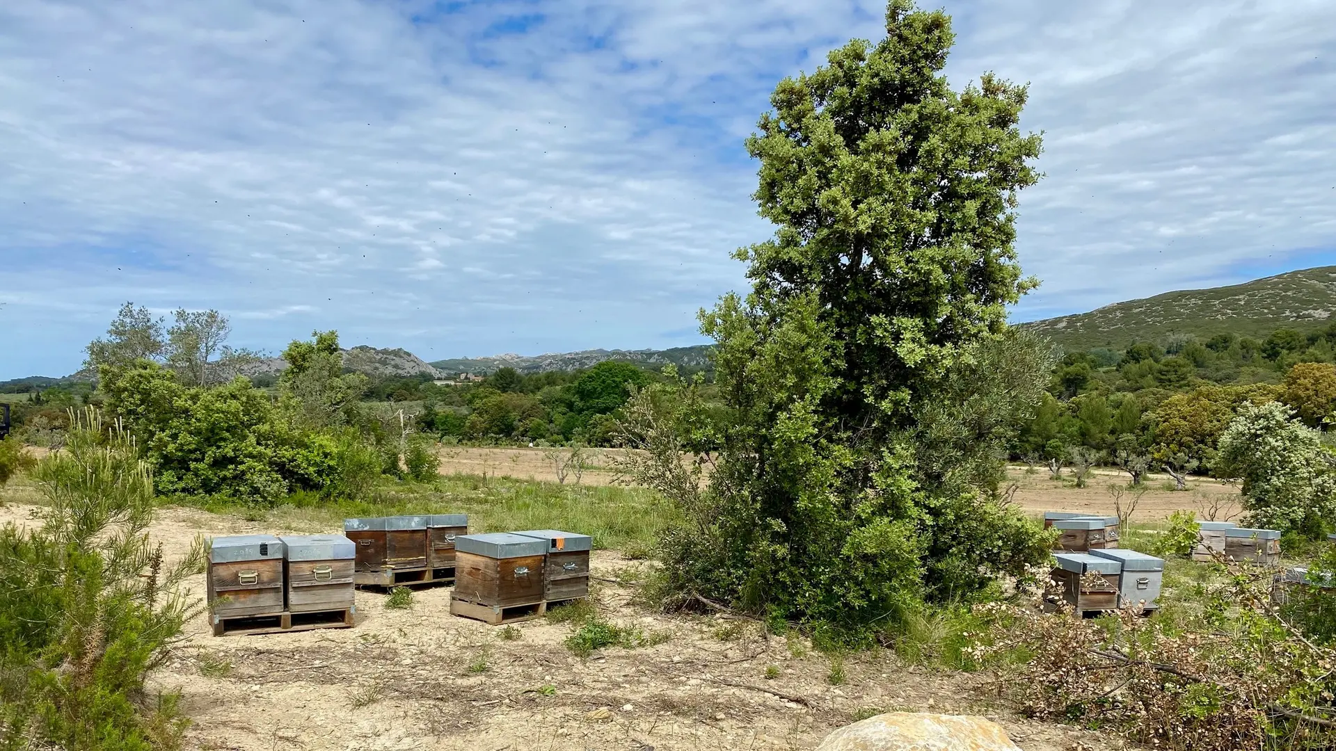 Domaine du Temps Perdu à Mouriès