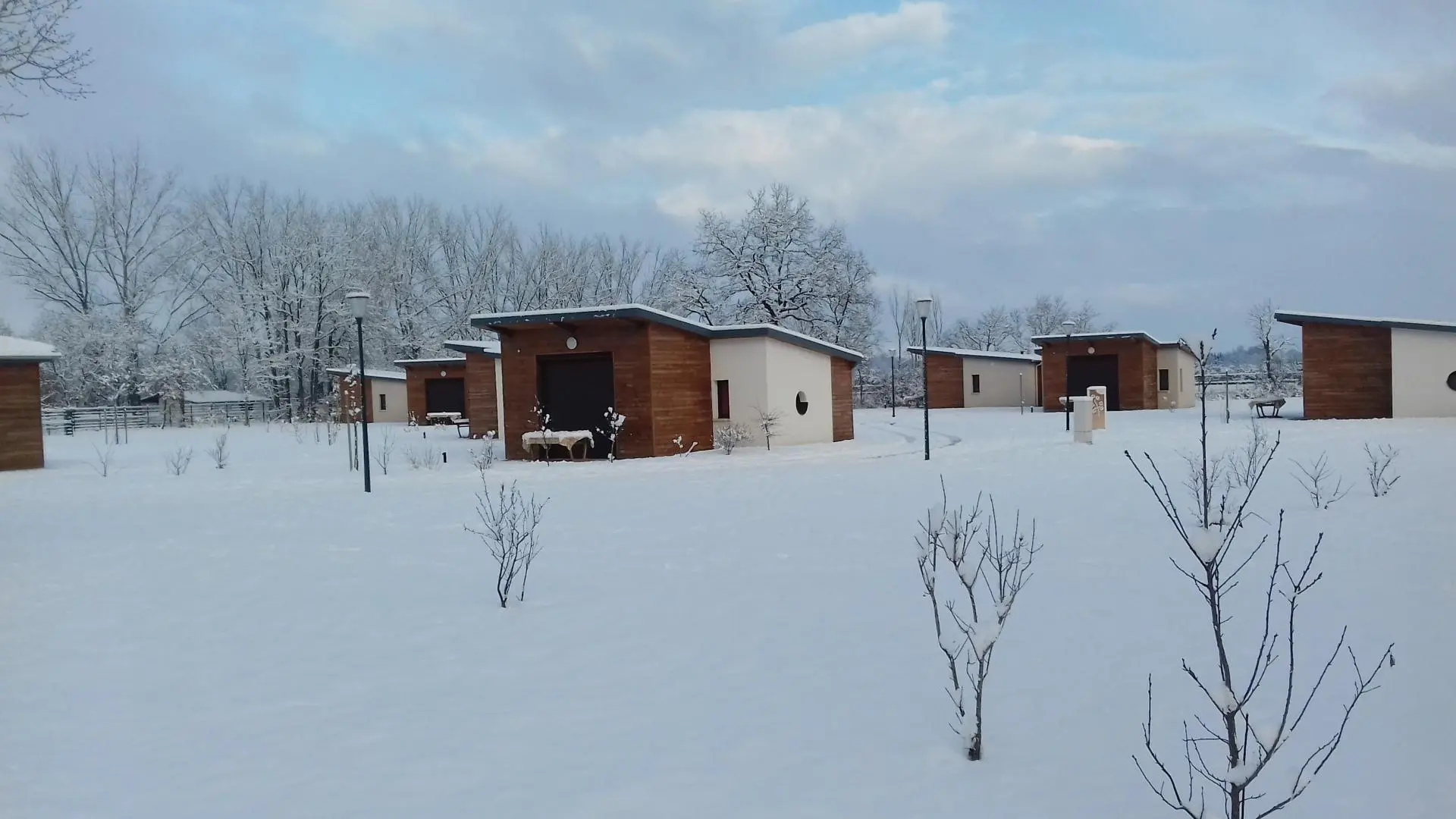 Sous la neige...