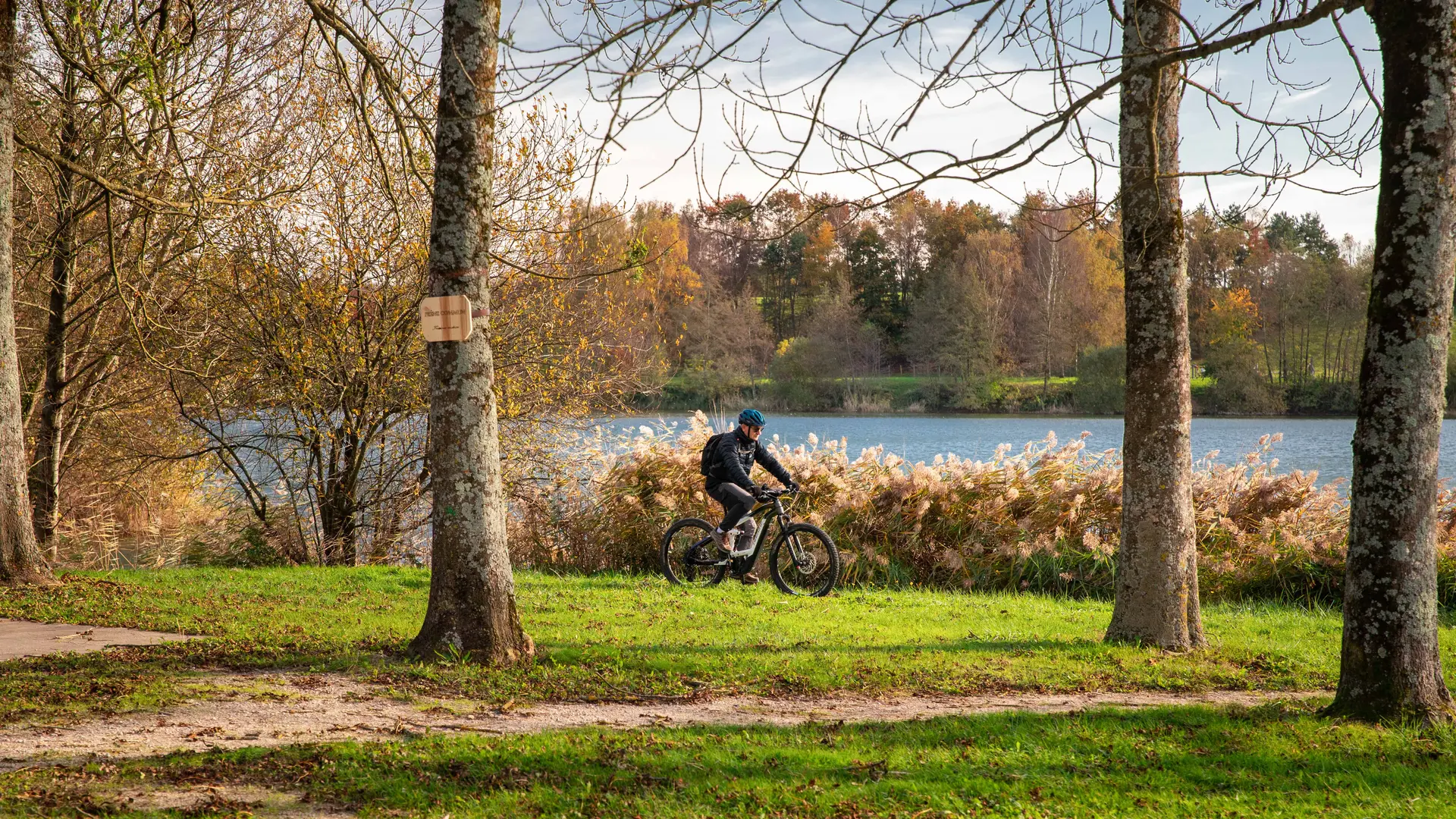 Bouvent en automne